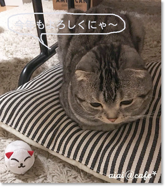 3歳になったロボたん_a0056451_15515178.jpg