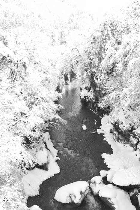 d0342652_14345434.jpg