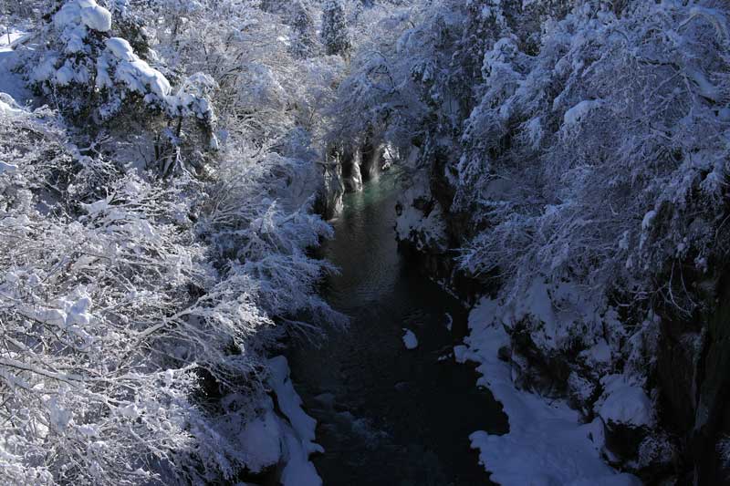 d0342652_14355959.jpg