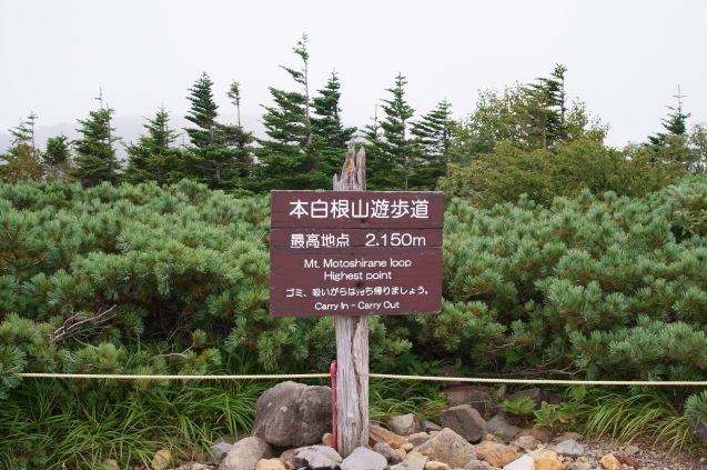 a0288155_20553410.jpg