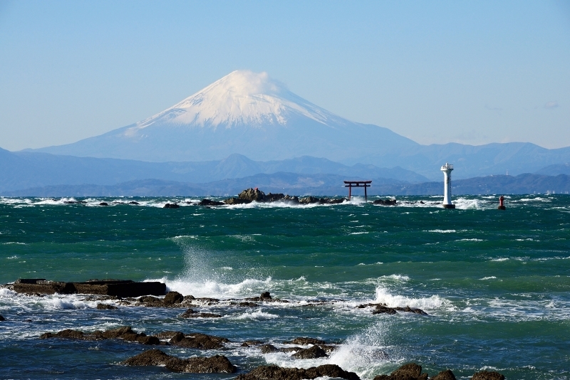 葉山真瀬海岸で 春夏秋冬
