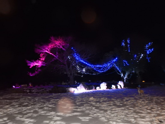 d0231858_11465679.jpg