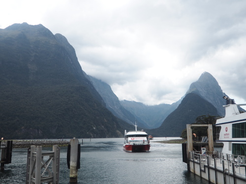 大迫力のユニークな地形！Fiordland National ParkでMilford Soundのクルージング ～NZバスの旅 18日目～_c0351060_02351045.jpg