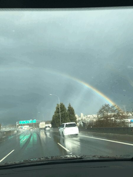 c0284566_15430718.gif