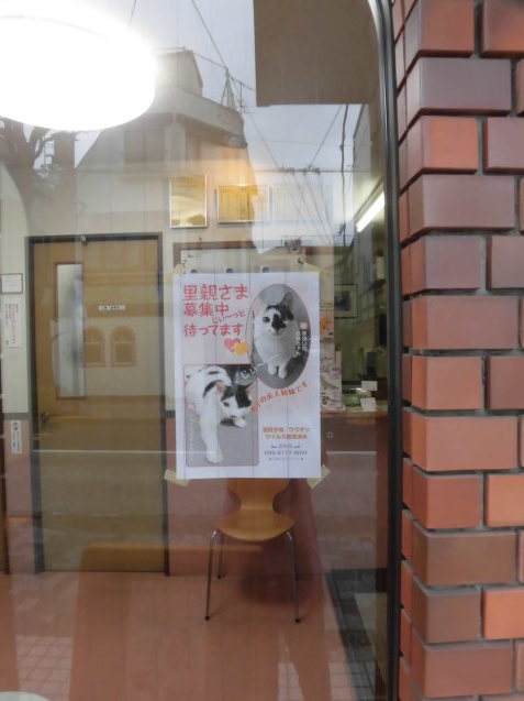 里親様募集中!_e0367571_10274061.jpg