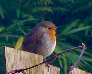 c0197980_06213850.png