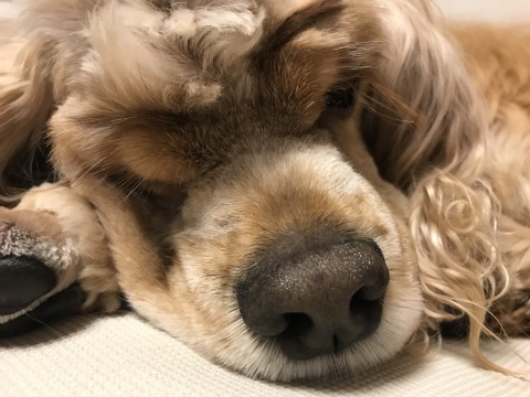 f0218182_17020640.jpg