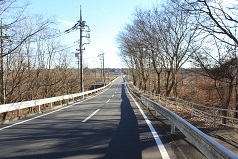 d0183387_20300638.jpg
