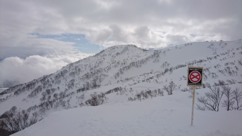 e0015490_21104098.jpg