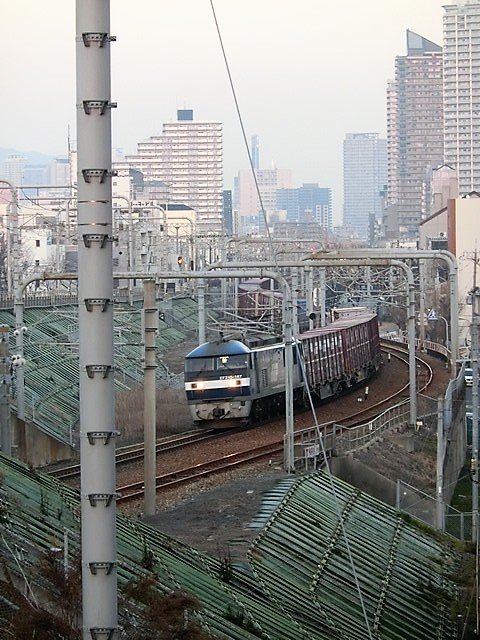 藤田八束の鉄道写真@震災から23年、そして神戸の街の今・・・復興とは震災前より良くなること、水仙と寒緋桜_d0181492_09042956.jpg