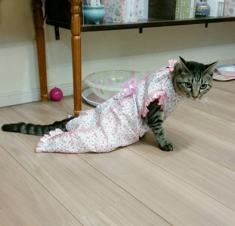 e0144012_13264537.jpeg