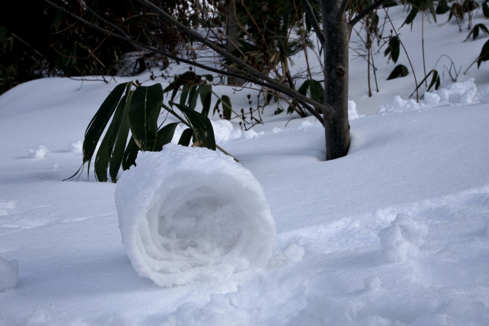 雪まくり Daily Life Is Sunday 雪まくり Daily Life Is Sunday