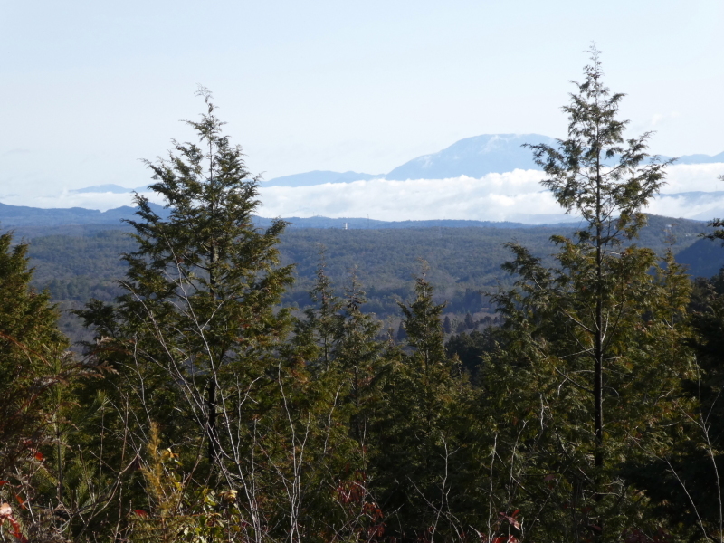 今日のお気に入り写真　浅間山 (372M)  登頂_d0170615_17383677.jpg