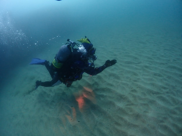c0115421_20041411.jpg