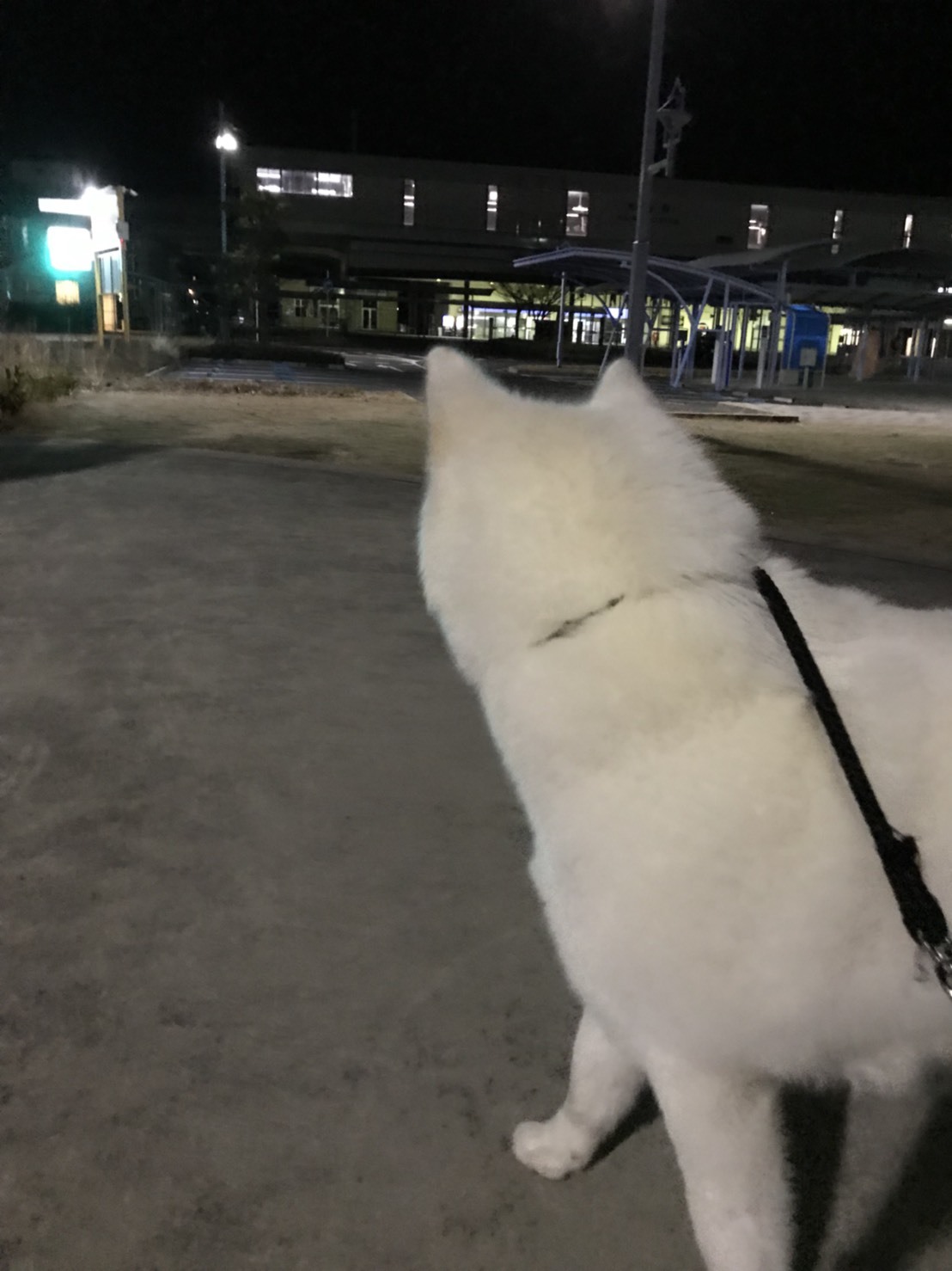 e0364035_03245539.jpeg