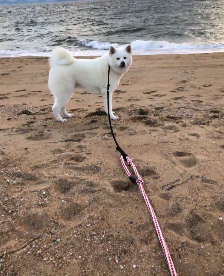 e0364035_03281665.jpeg