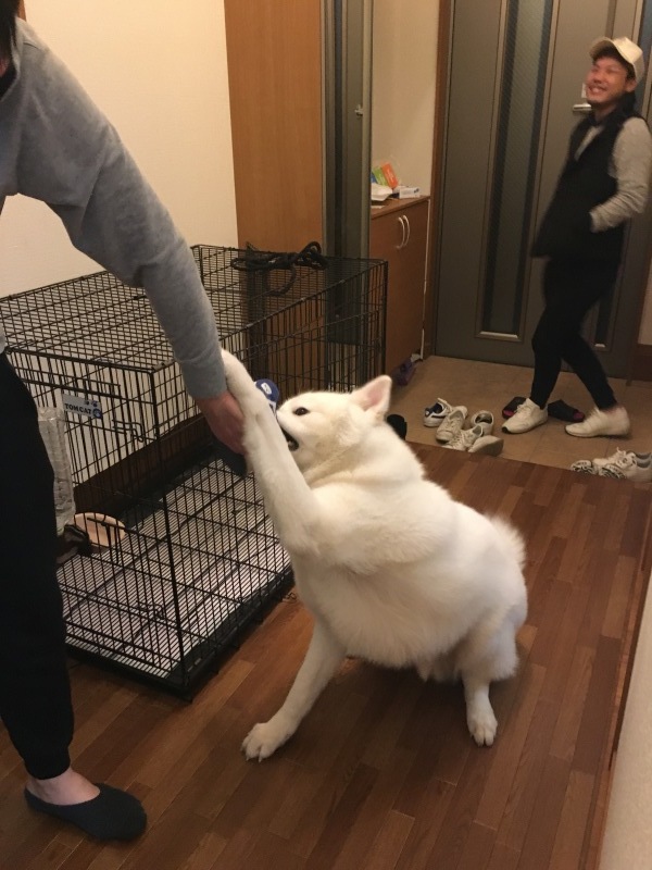 e0364035_03334883.jpeg