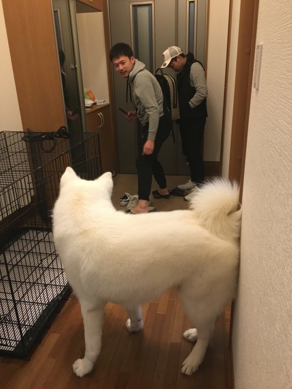 e0364035_21174952.jpeg