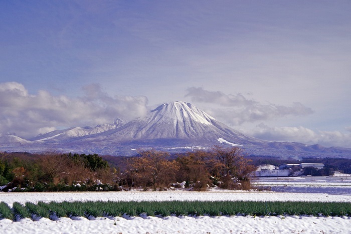 b0312736_20534414.jpg