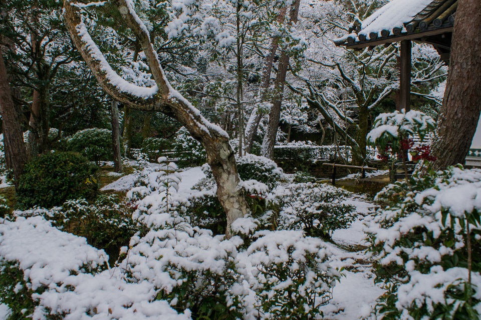 雪の法然院_e0363038_12565112.jpg