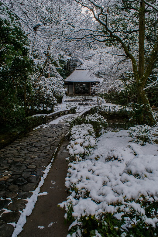 雪の法然院_e0363038_125722.jpg