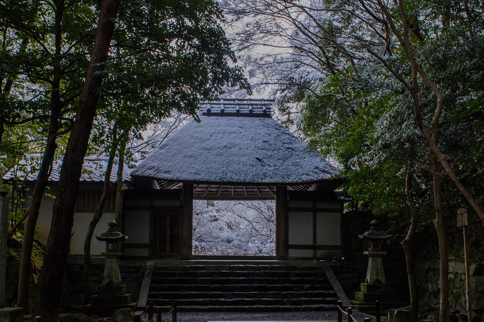 雪の法然院_e0363038_12573029.jpg