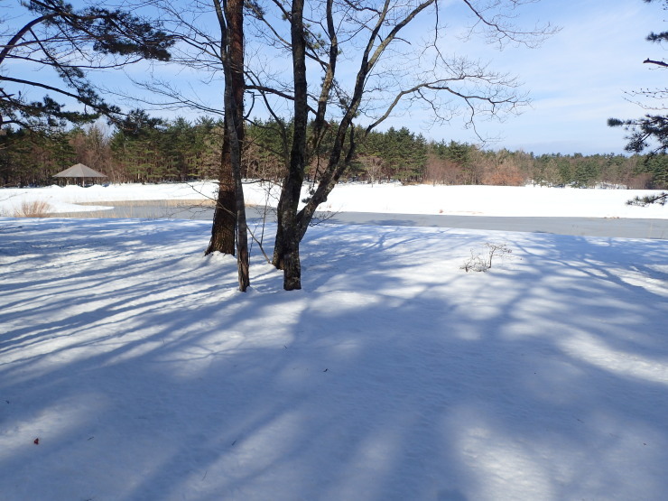f0214649_09091702.jpg