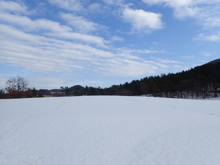 f0214649_09204346.jpg