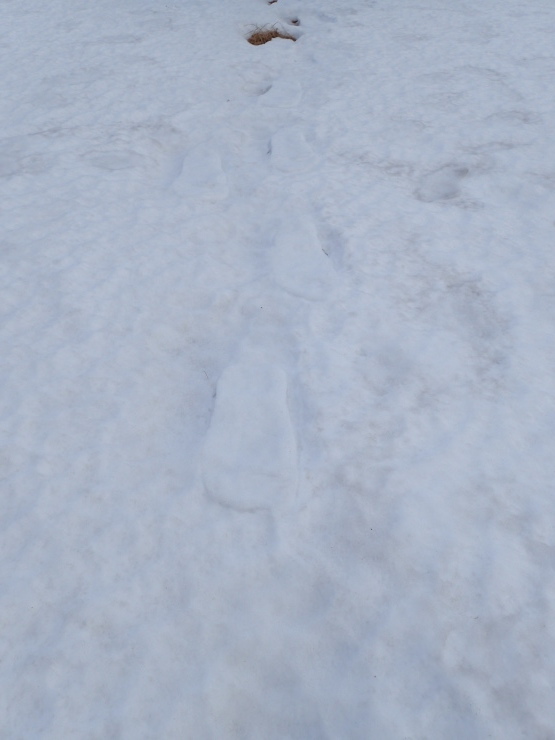 f0214649_09213673.jpg