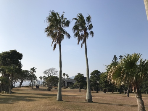 2017年12月 鹿児島・宮崎: 指宿白水館 朝食と朝の散歩_e0356150_00193940.jpeg