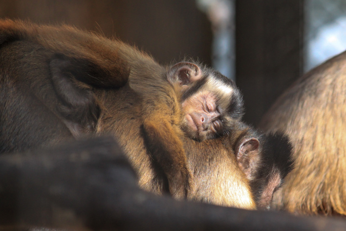 mama . . ._a0271251_23090328.jpg