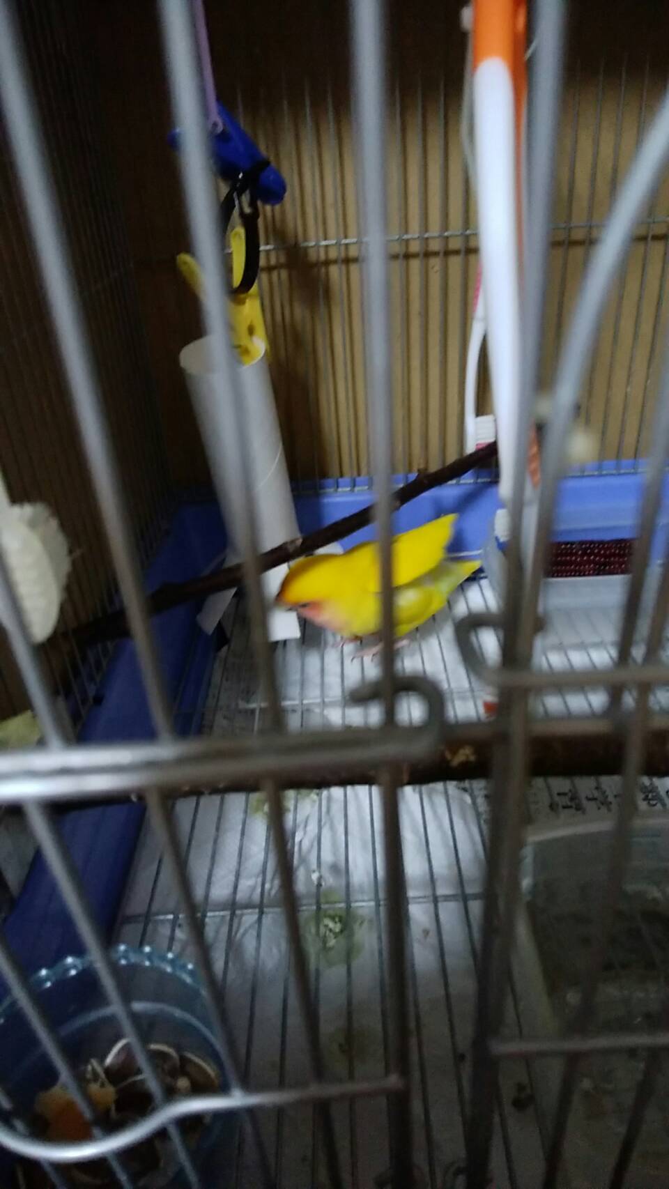 e0374153_14224051.jpeg