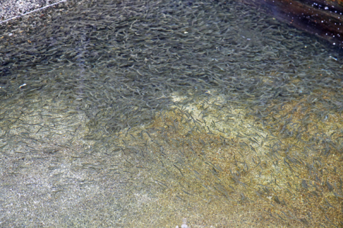 b0277159_22103523.jpg