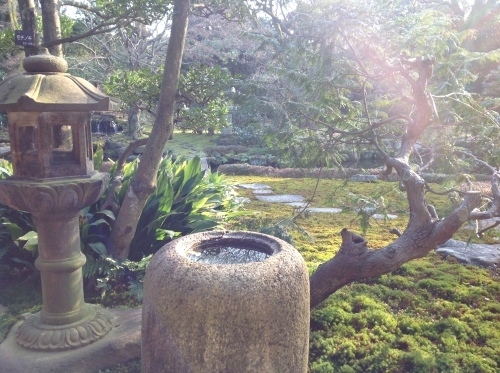 b0153663_18150680.jpeg