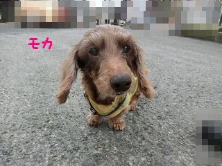 相方変わってもやることは同じ_d0353074_17193340.jpg