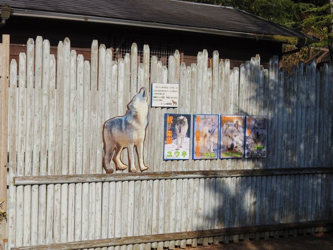 1月6日のとくしま動物園のユウキ_b0014576_22124200.jpg