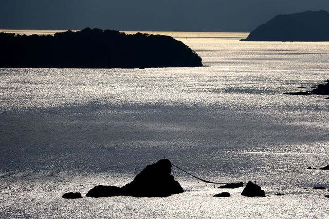 d0126577_21372241.jpg