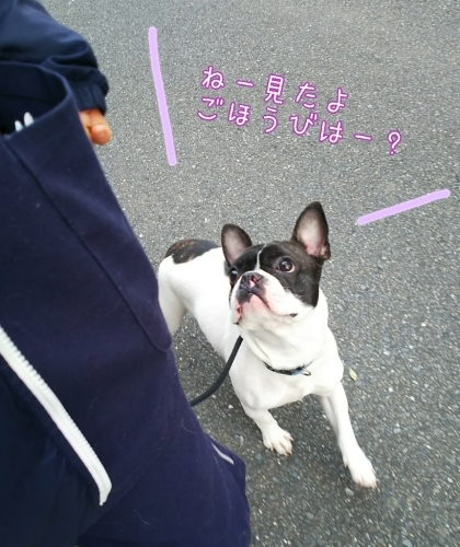 トレーニングブログ_f0357682_21495648.jpg