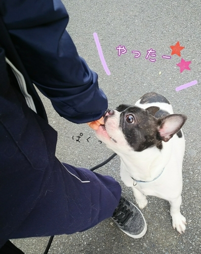 トレーニングブログ_f0357682_21501283.jpg