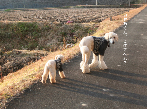 a0216583_10033379.png