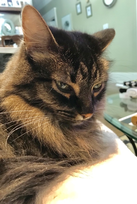 e0170687_07563190.jpeg