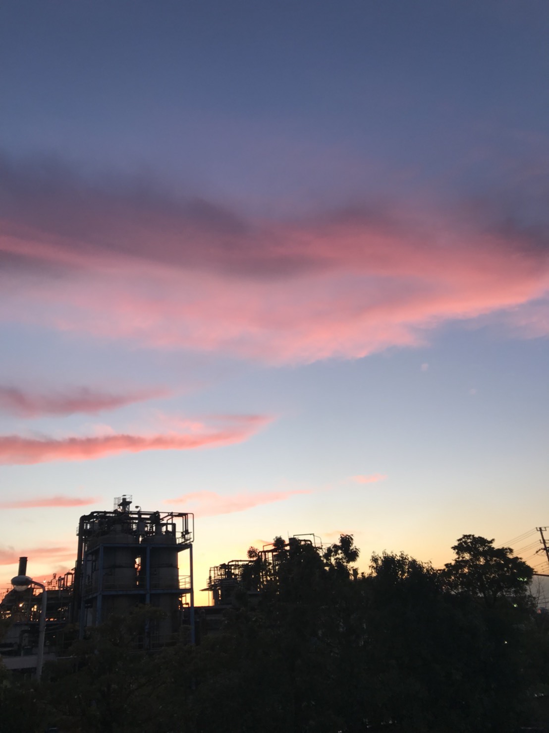 夕焼けと、2月休園日のお知らせ_b0263390_09331222.jpg