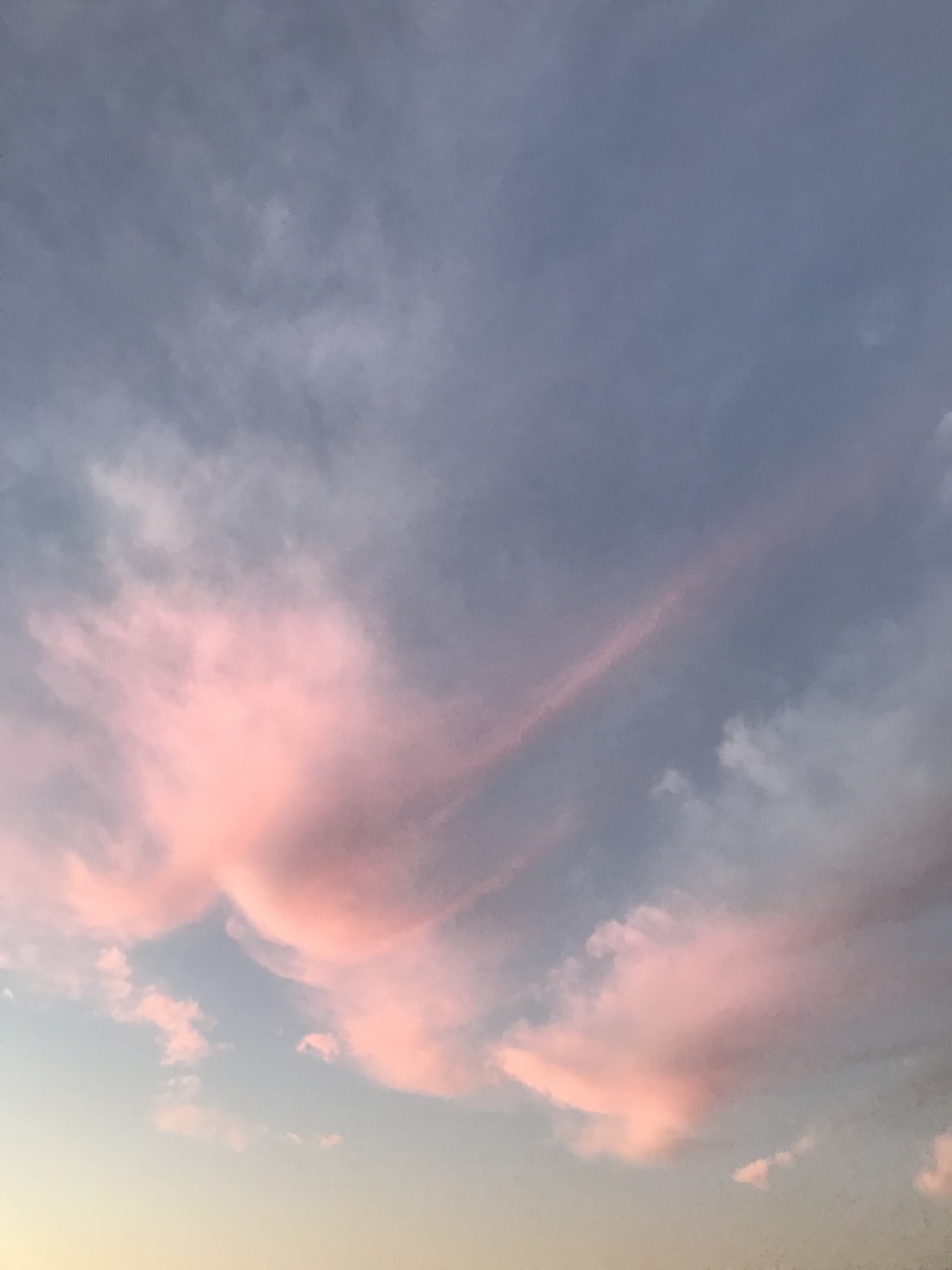 夕焼けと、2月休園日のお知らせ_b0263390_09332194.jpg