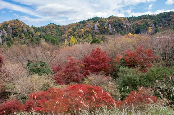 裏耶馬溪　立羽田の景_e0176993_07430048.jpg