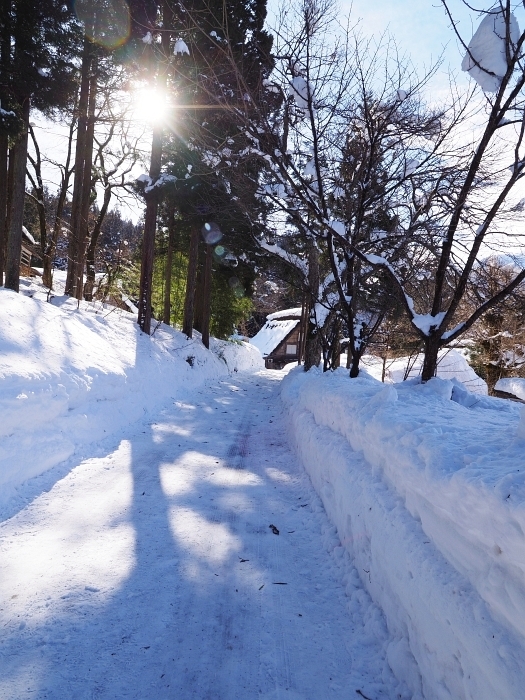 雪の白川郷　2018　その2_e0075403_12234049.jpg