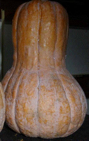f0231709_19492397.gif