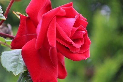 f0325309_17255411.jpg