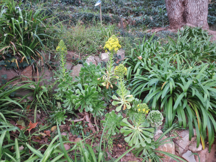 b0064411_07562960.jpg