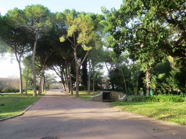 b0064411_08091471.jpg