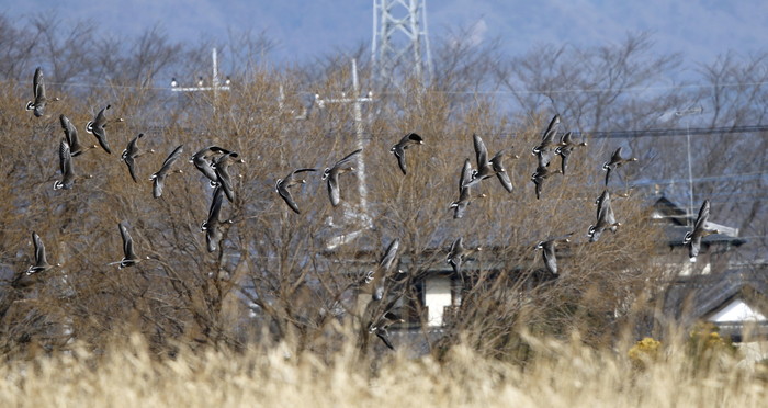 f0239515_20131893.jpg